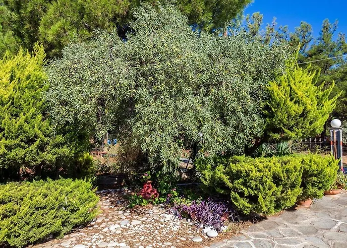 Apartman Litsa *